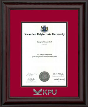 KPU wood with mahogany finish diploma frame with silver foil embossing