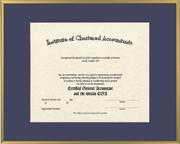 Satin gold metal frame with single mat board (NPB)