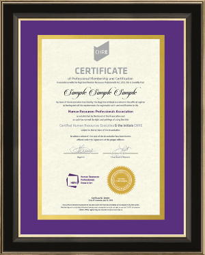 Glossy black & gold detail wood frame (120945) with double mat board; purple over gold. (CHRE)