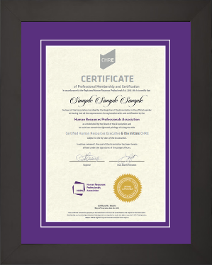 Contemporary satin black wood frame (25183000) with double mat board; purple over purple. (CHRE)