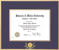 Gold Satin Metal Diploma Frame With Medallion and Laurel Leaf-For a 14x17 Doctoral Diploma