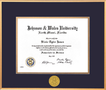 Gold Satin Metal Diploma Frame- For an 8.5x11 diploma (BS & MBA)