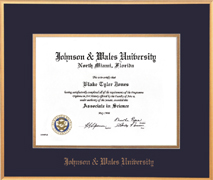 Gold Satin Metal Diploma Frame With Foil Emnbossing-For a 6x8 Diploma