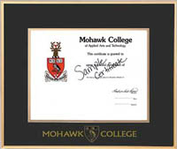 13x15 Gold Satin Metal Frame With Embossing- -For A Horizontal Certificate
