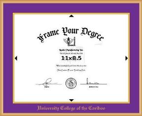 Satin gold metal diploma frame with gold foil embossing- Horizontal