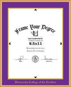 Satin gold metal diploma frame with gold foil embossing-Vertical