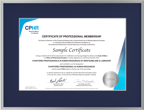 CPHR-NL (STANDARD) Satin Silver Metal frame with single newport blue mat board