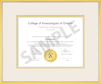 Satin Gold Metal with double mat board