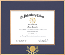 13.5x16 Gold Satin Metal Diploma Frame With Medallion and Laurel Leaf