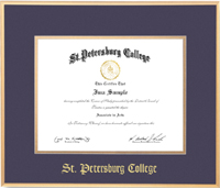 13x15 Gold Satin Metal Diploma Frame With Foil Embossing
