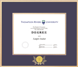 Gold Satin Metal Diploma Frame With Medallion