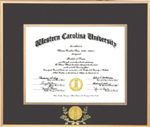 13.5x16 Gold Satin Metal Diploma Frame With Medallion - For a BA or 8.5x11 diploma