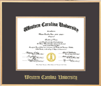 14x17 Gold Satin Metal Diploma Frame With Foil Embossing - For an MA or 11x14 diploma