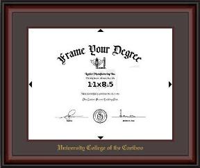 Mahogany finish diploma frame with foil embossing - Horizontal